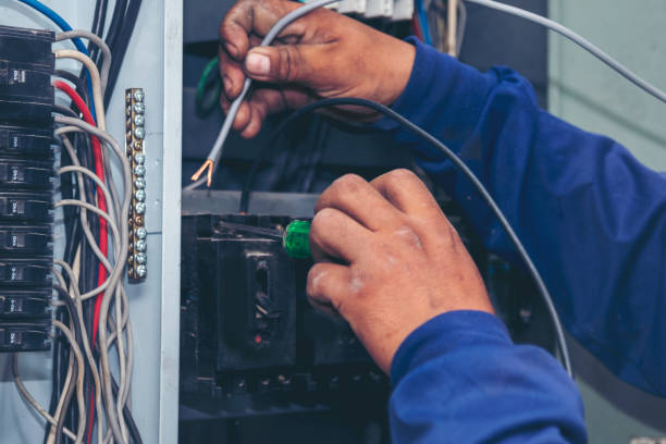 Best Ceiling Fan Installation Electrician  in Homosassa, FL