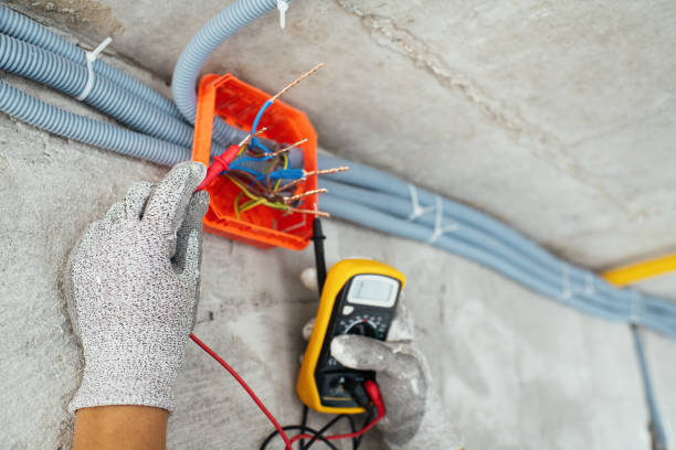 Best Electrical Troubleshooting Services  in Homosassa, FL